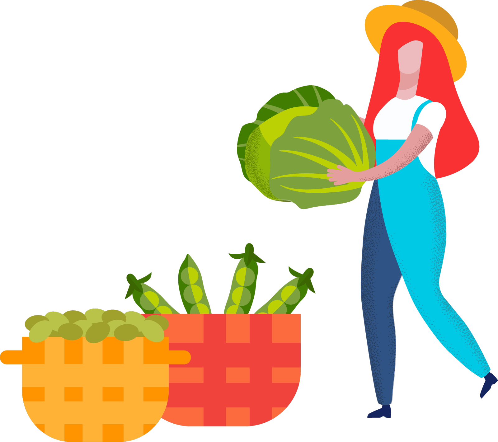 农妇扛着卷心菜到篮子里收割设计元素图片