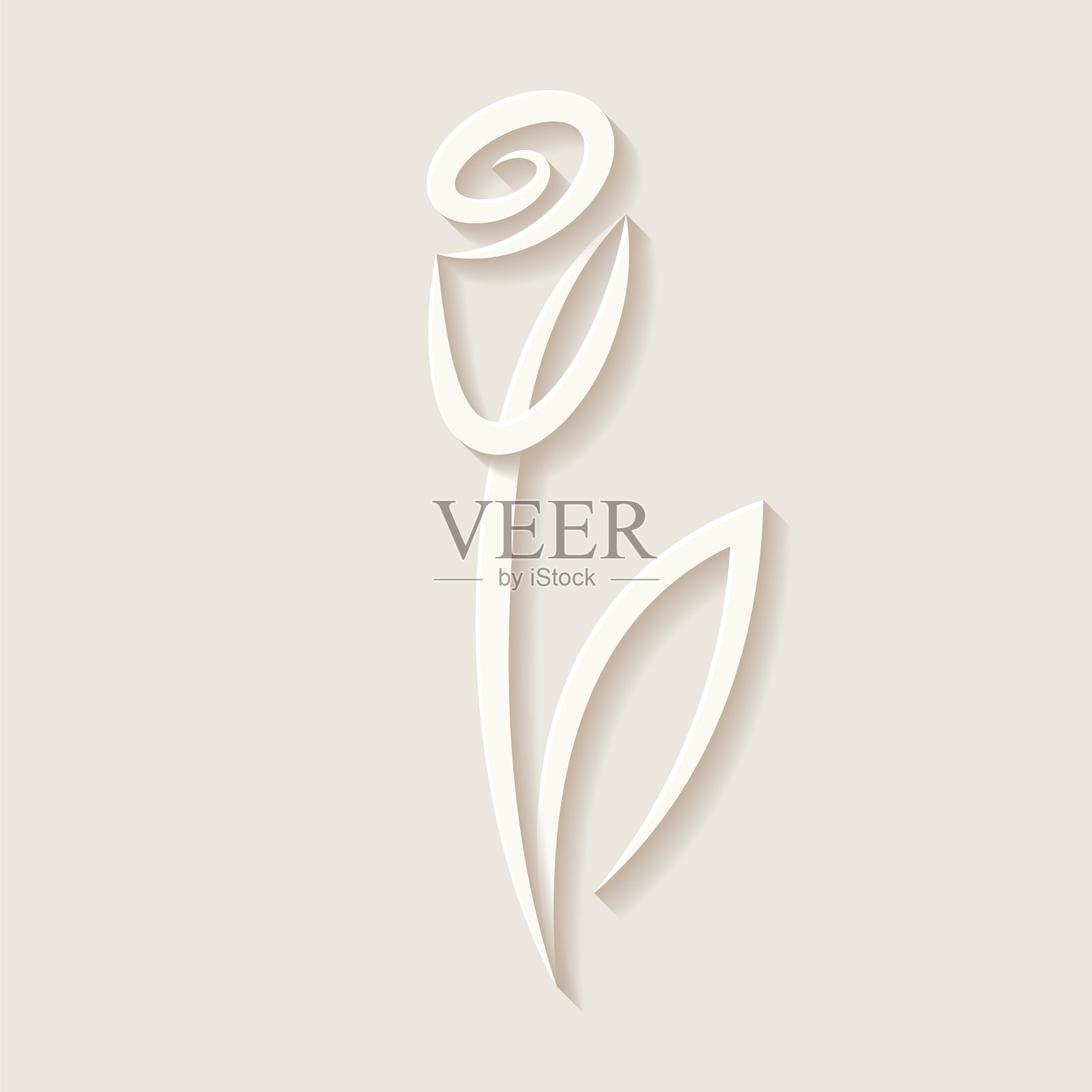 简单优雅的玫瑰插画图片素材