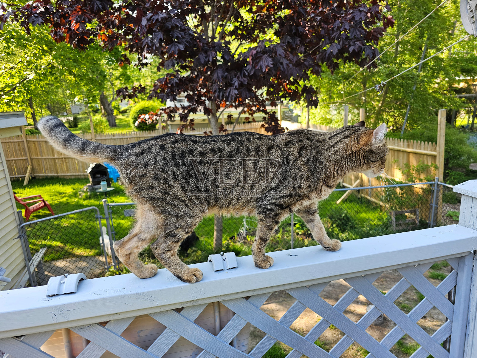 走过栏杆照片摄影图片