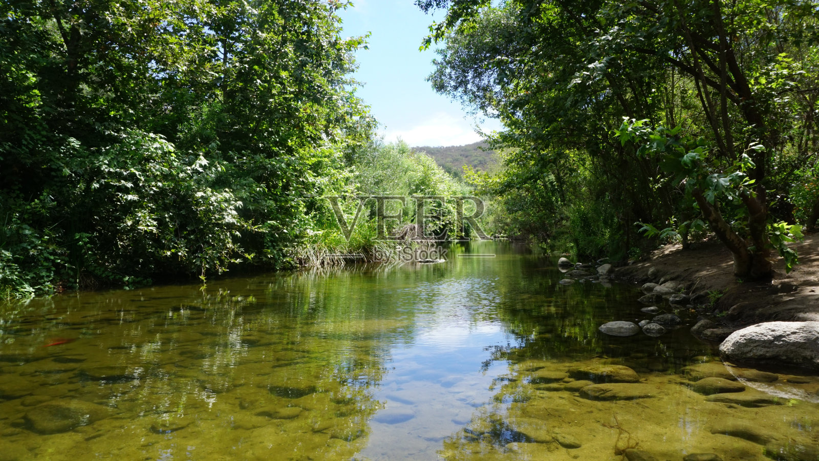 阳光明媚的夏日，慵懒的河流的宁静景色。照片摄影图片
