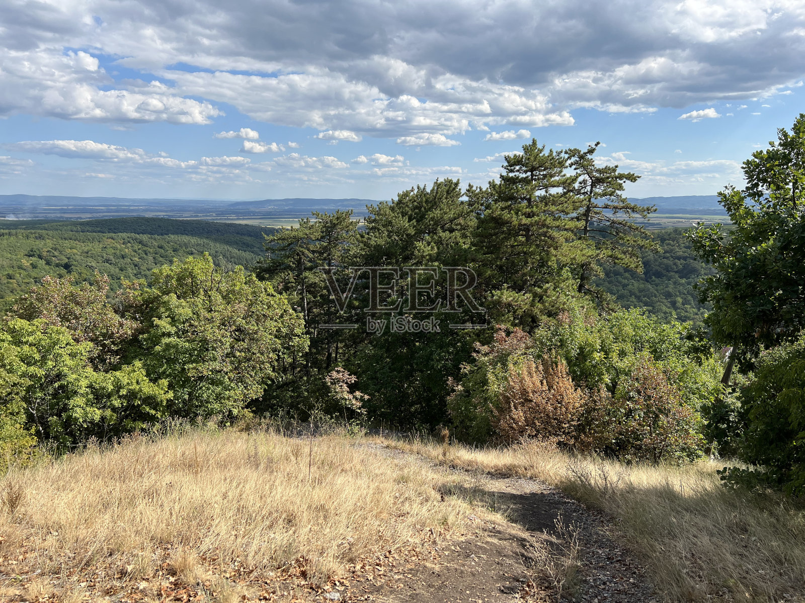 远足小径，森林小径和自行车道在帕普克自然公园，Velika - Slavonia，克罗地亚。Planinarske广场，šumski putevi i biciklisttitike ceste u parku prirode帕普克- Slavonija, Hrvatska)照片摄影图片