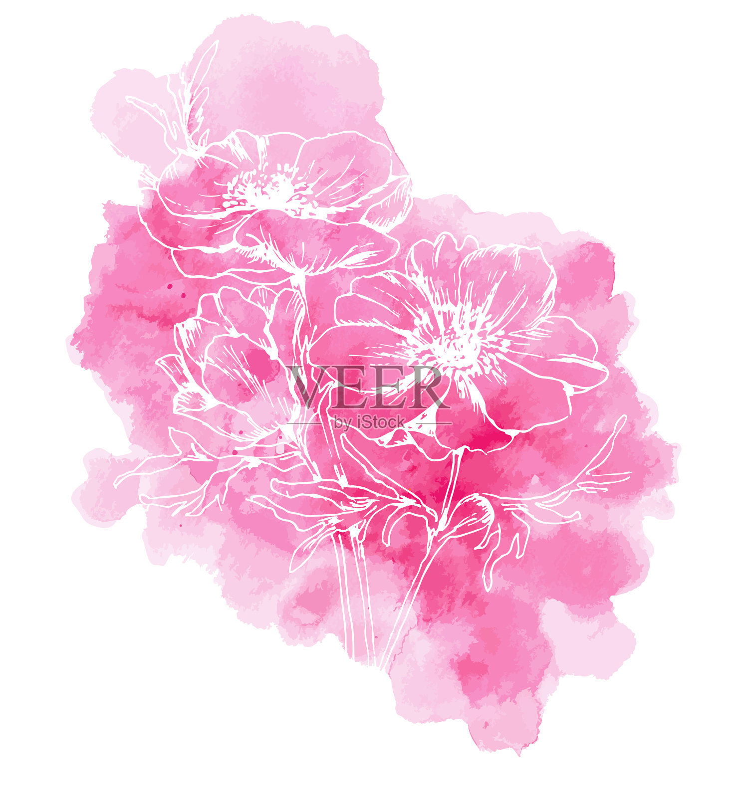 创意罂粟花组合插画图片素材