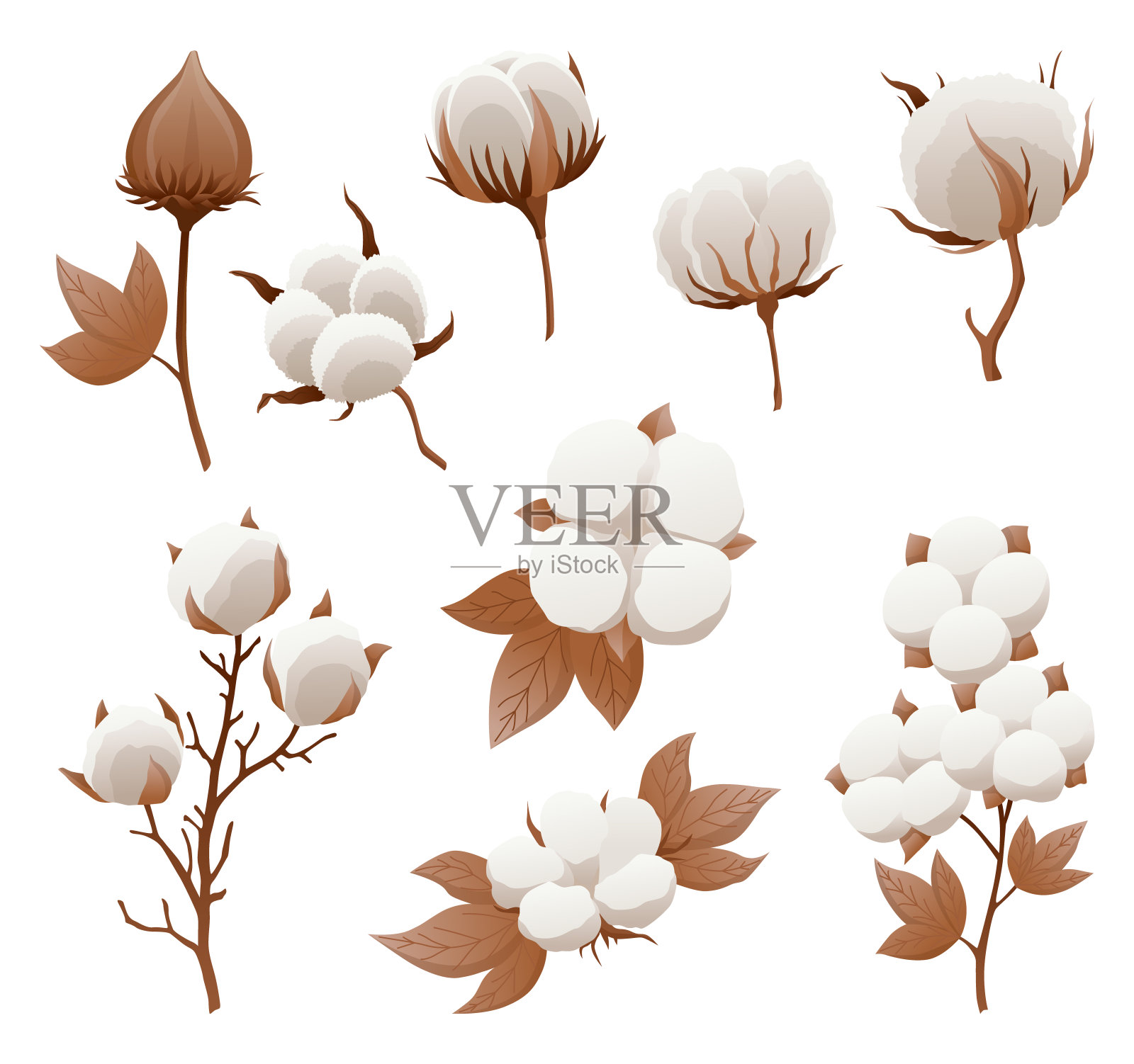 棉花花，球和芽图标集。柔软的白色植物，用于生产有机织物。卡通环保和有机标志插画图片素材