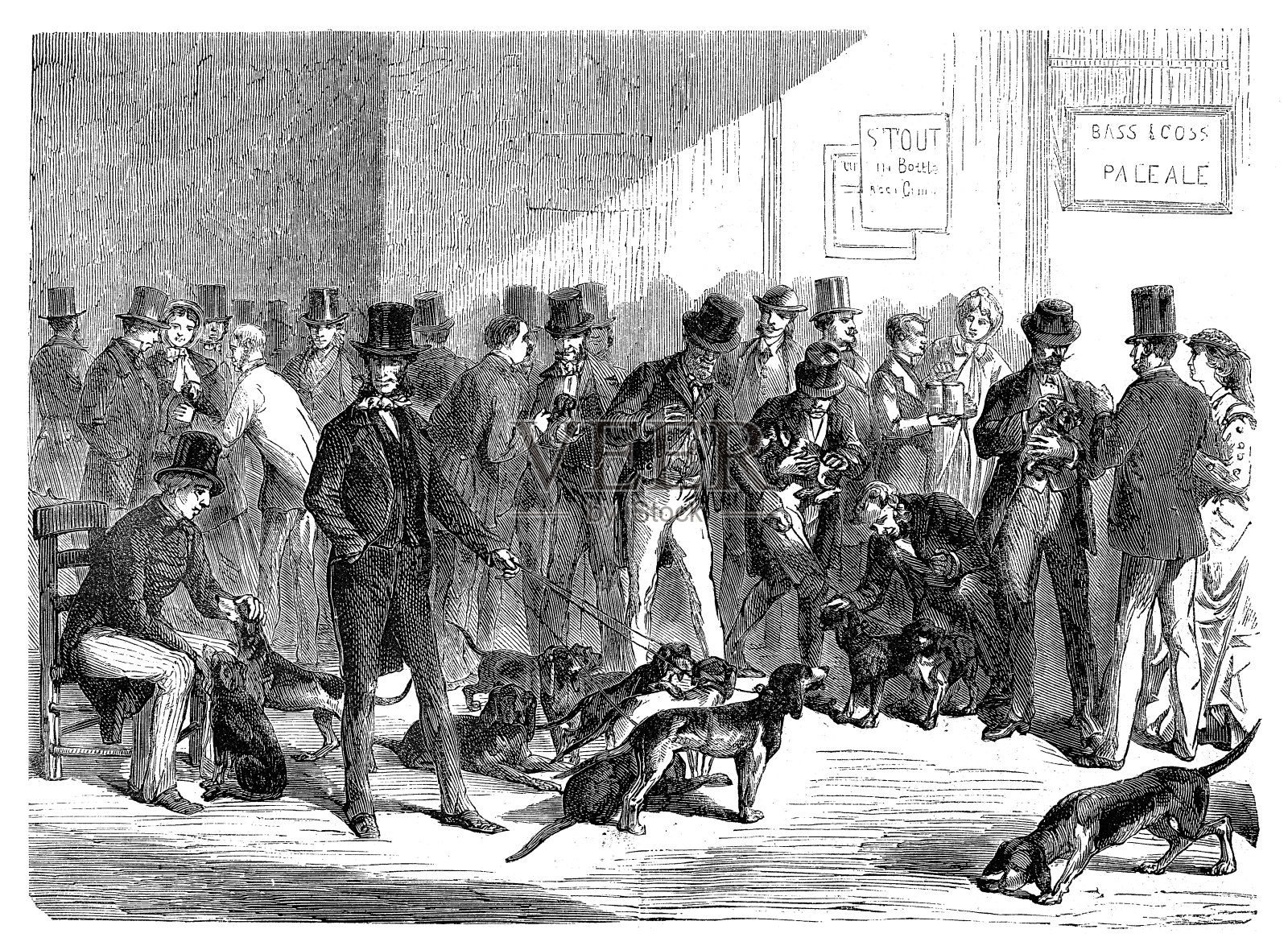 伦敦的狗拍卖插画图片素材