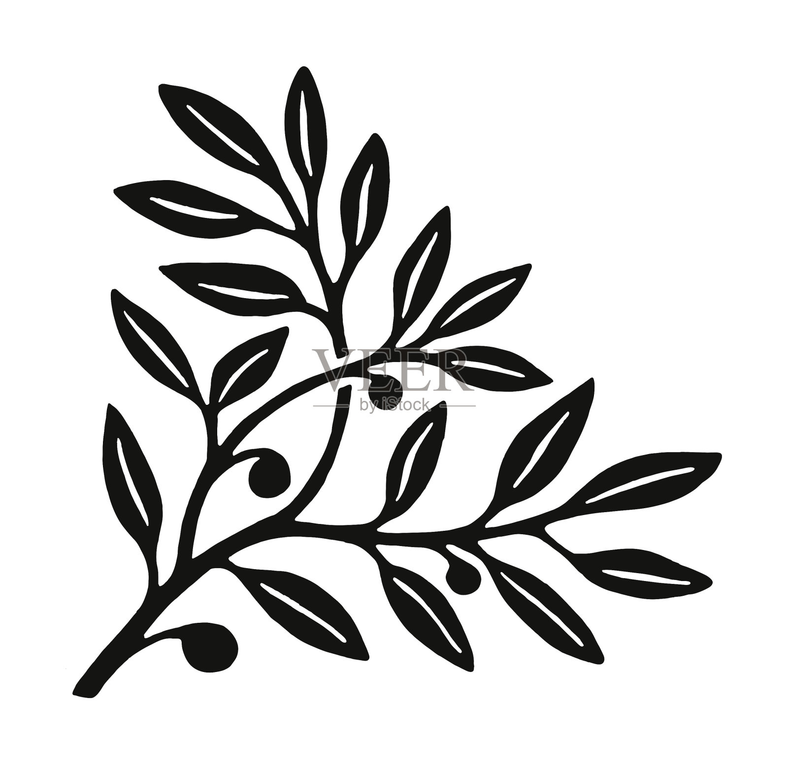 分支用树叶设计元素图片