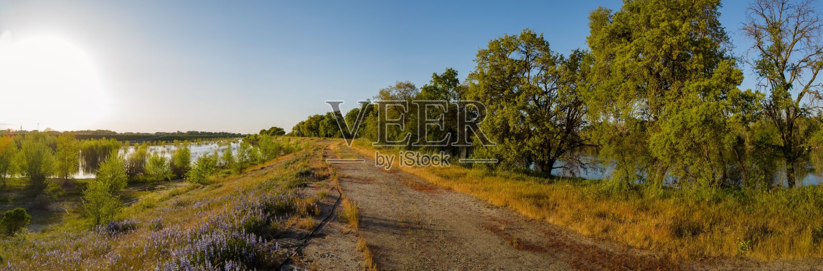 日落时萨克拉门托河堤的全景。照片摄影图片