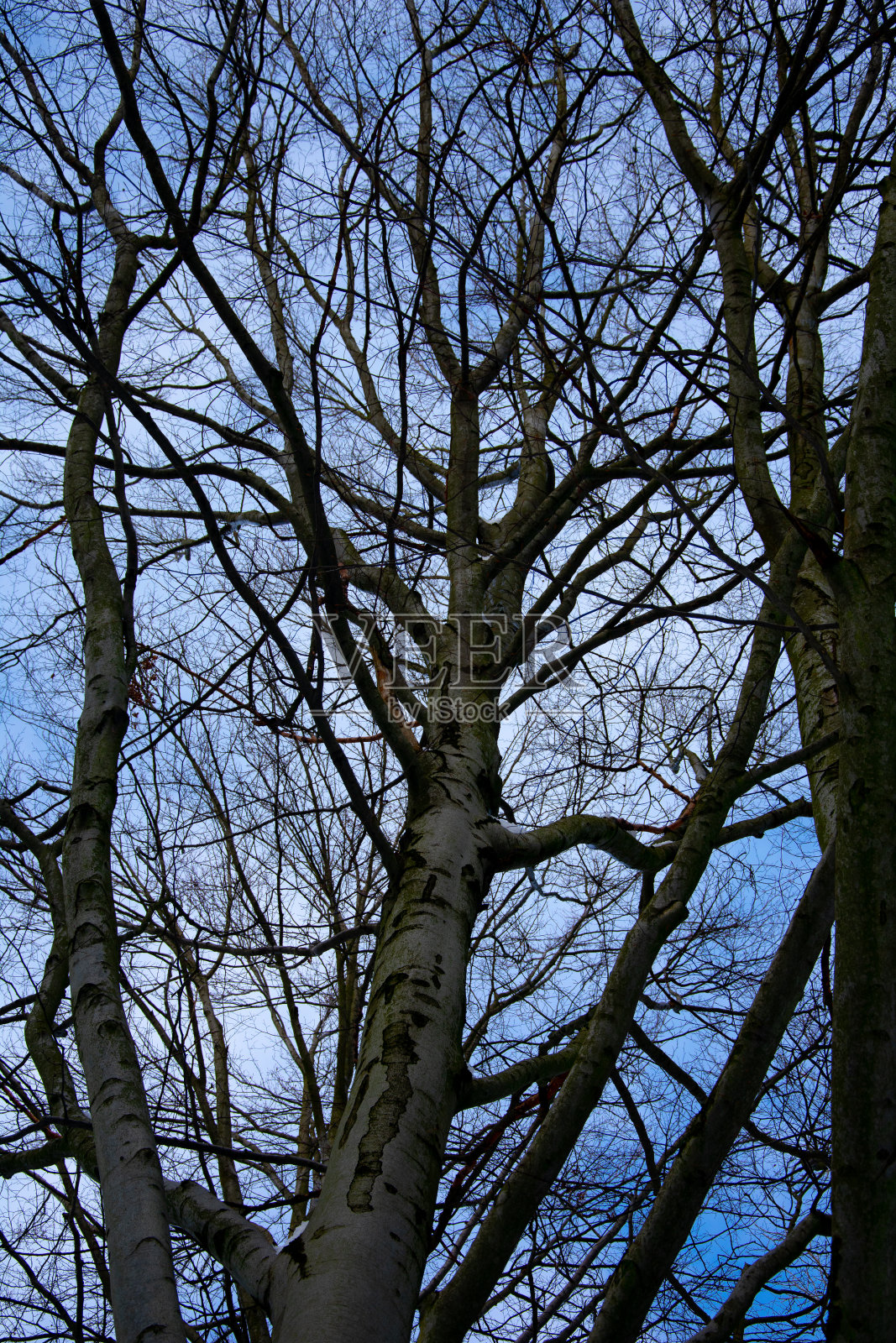雪的风景照片摄影图片
