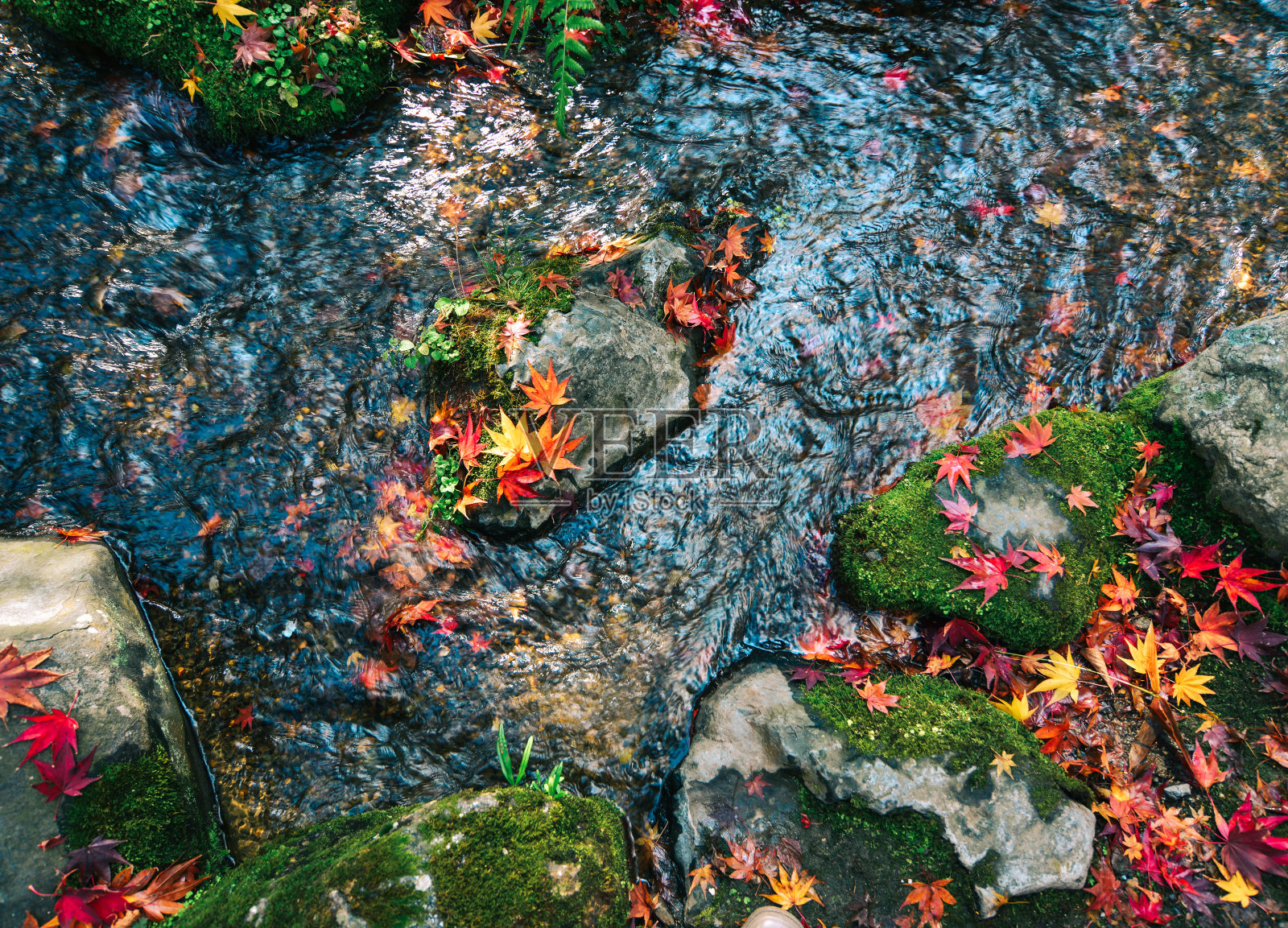 日本京都的秋景照片摄影图片