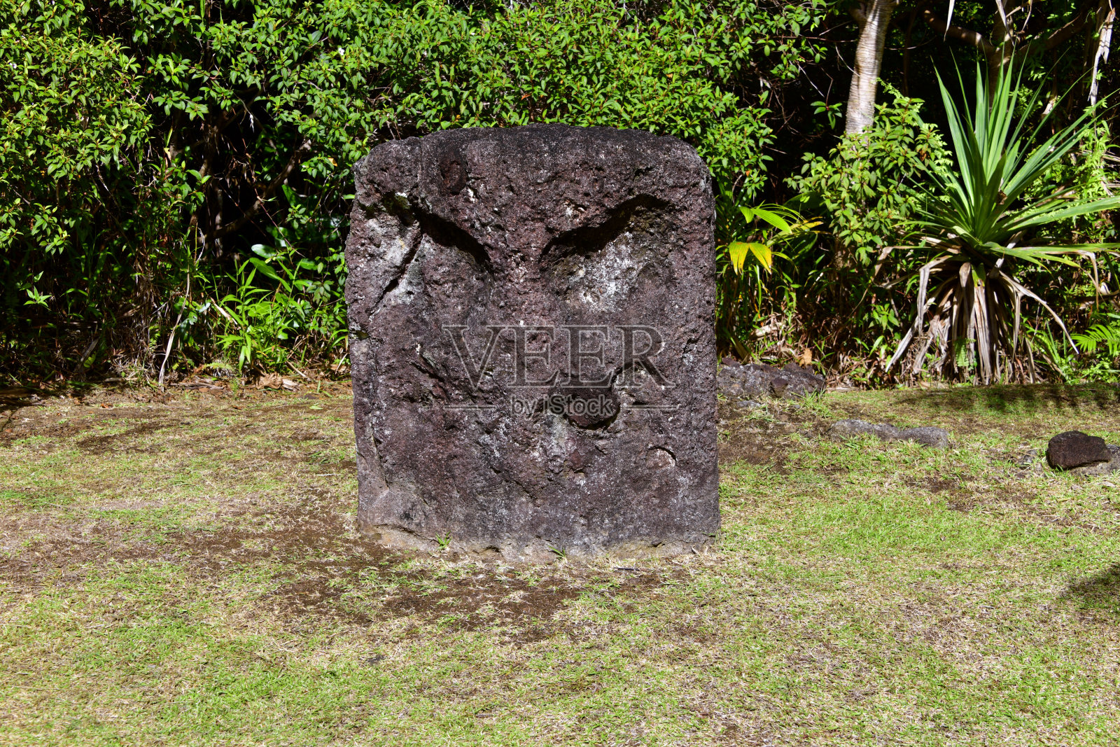 巴伯尔达乌岛，帕劳巴伯尔达乌岛照片摄影图片