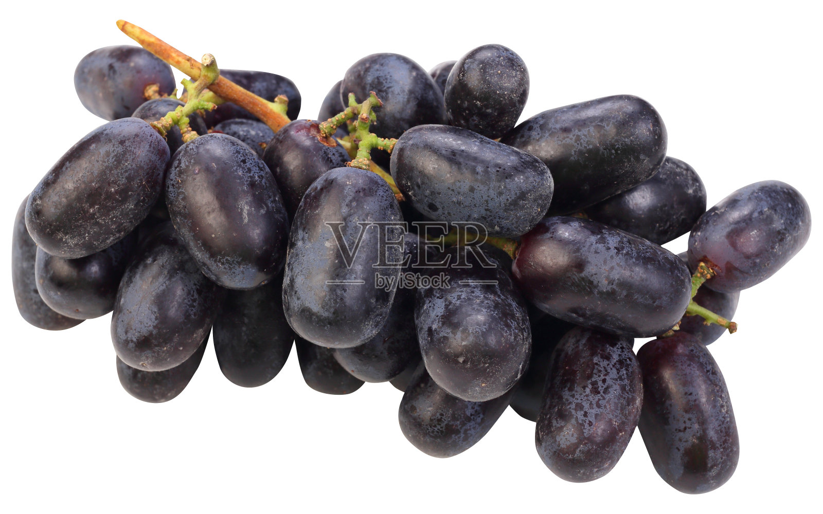 黑葡萄果照片摄影图片