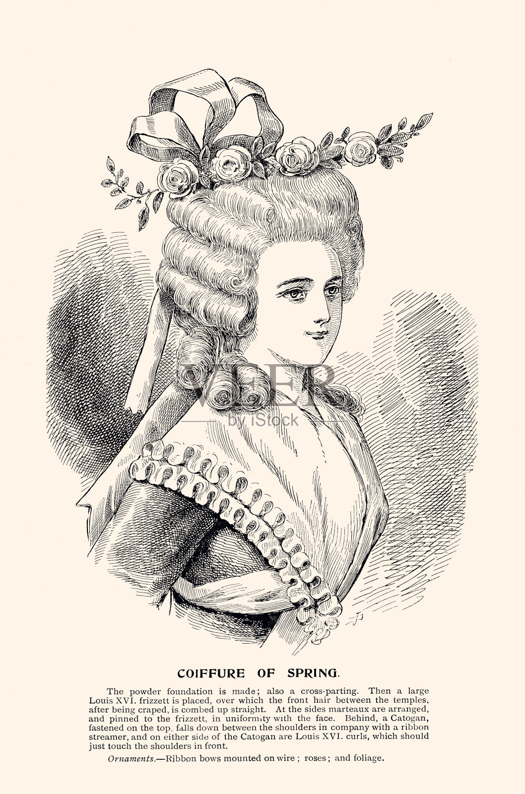 发型:春季发型(xxxl)插画图片素材