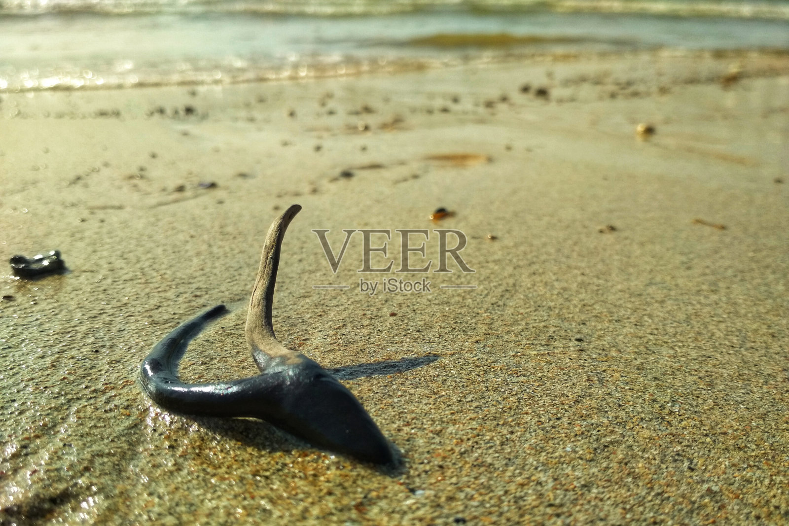 一块被海浪从海洋中带走的干树根躺在沙滩上。左边是空白，上面有抽象的文字，用来描述各种生活情景照片摄影图片