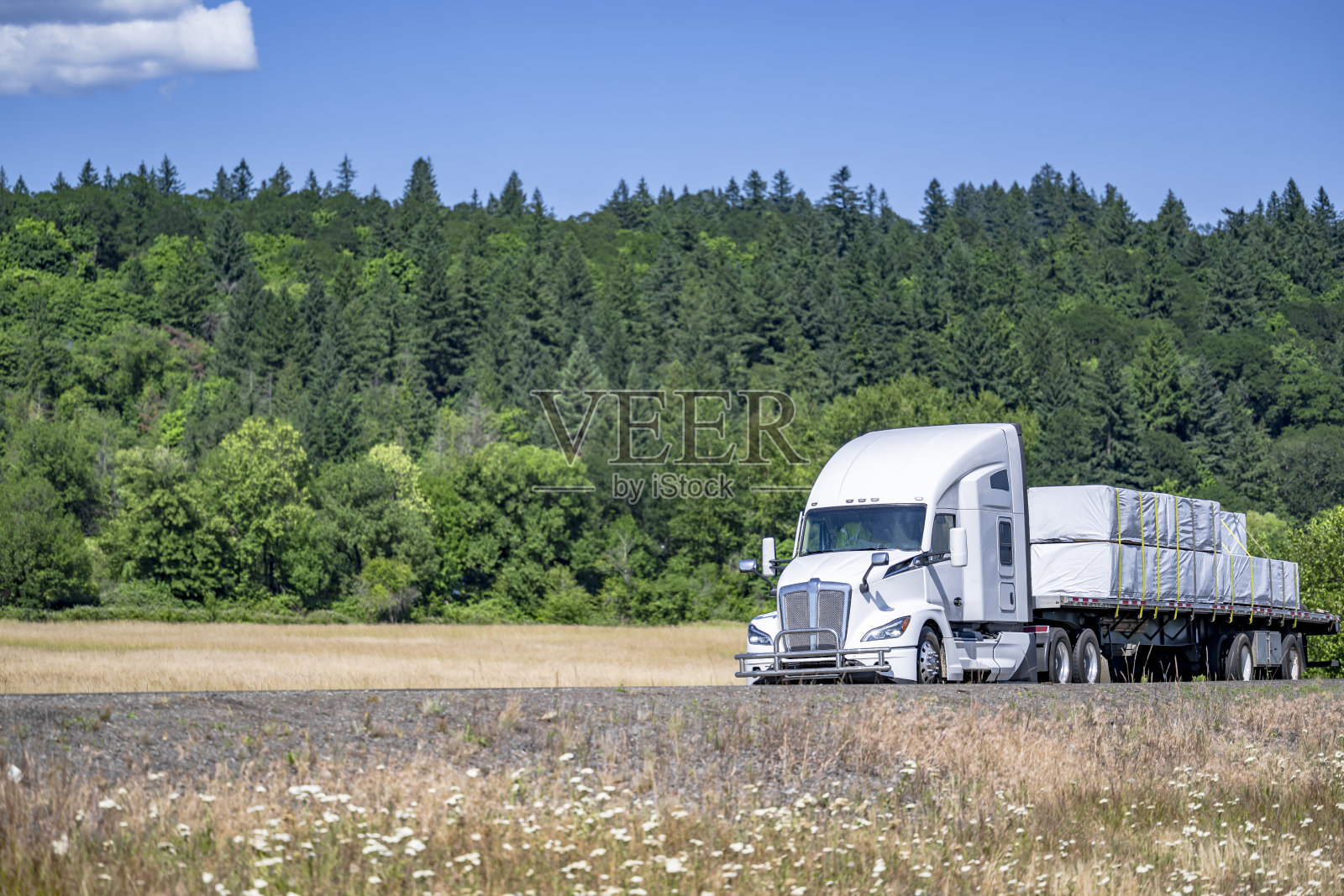 清亮的白色大钻机半挂车，用平床半挂车运输有盖固定的商业货物，行驶在草甸花丛绿林的夏日风景公路上照片摄影图片