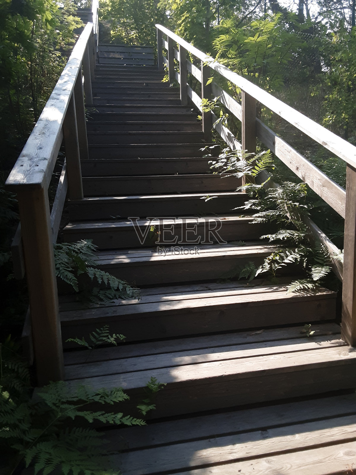 木楼梯照片摄影图片