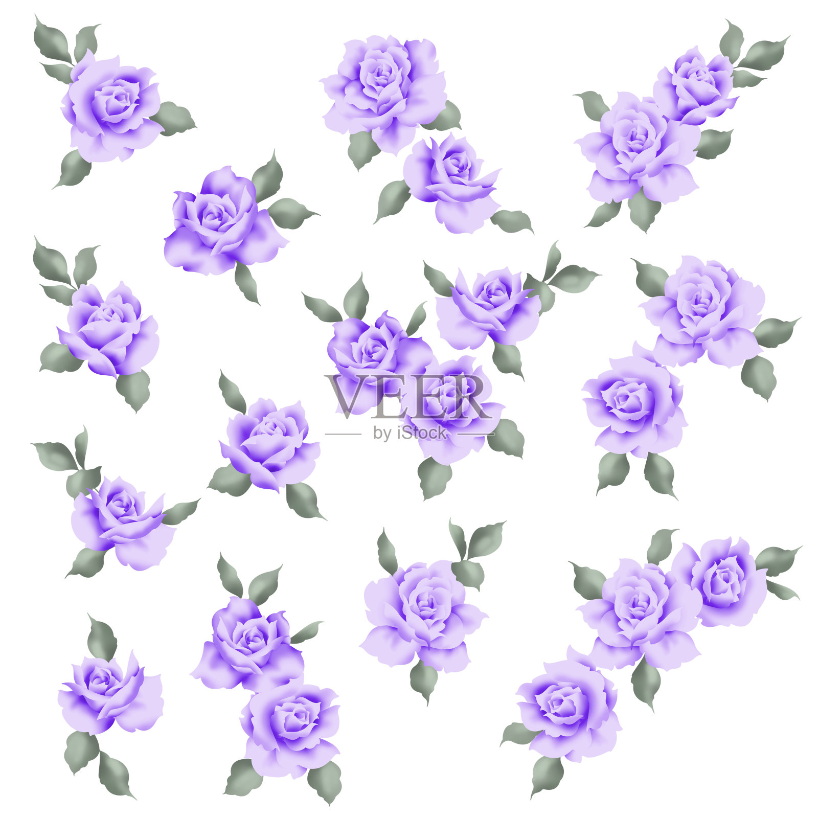 玫瑰材料的集合是纺织设计的理想选择，插画图片素材