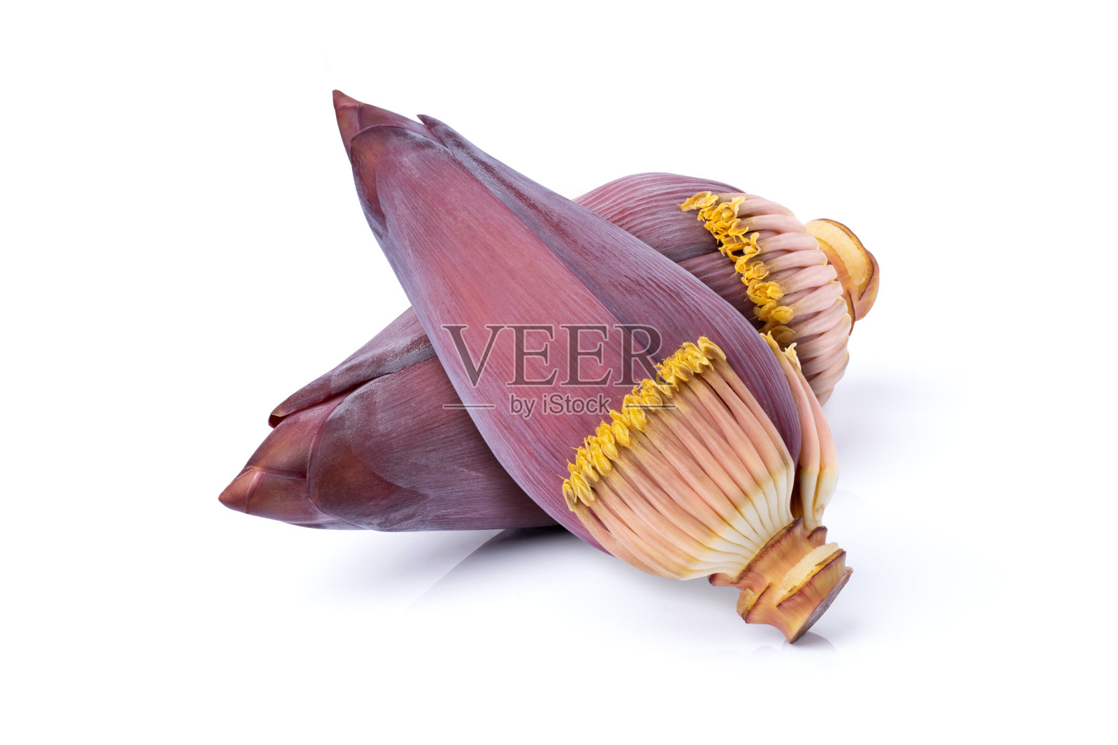 香蕉花孤立在白色照片摄影图片