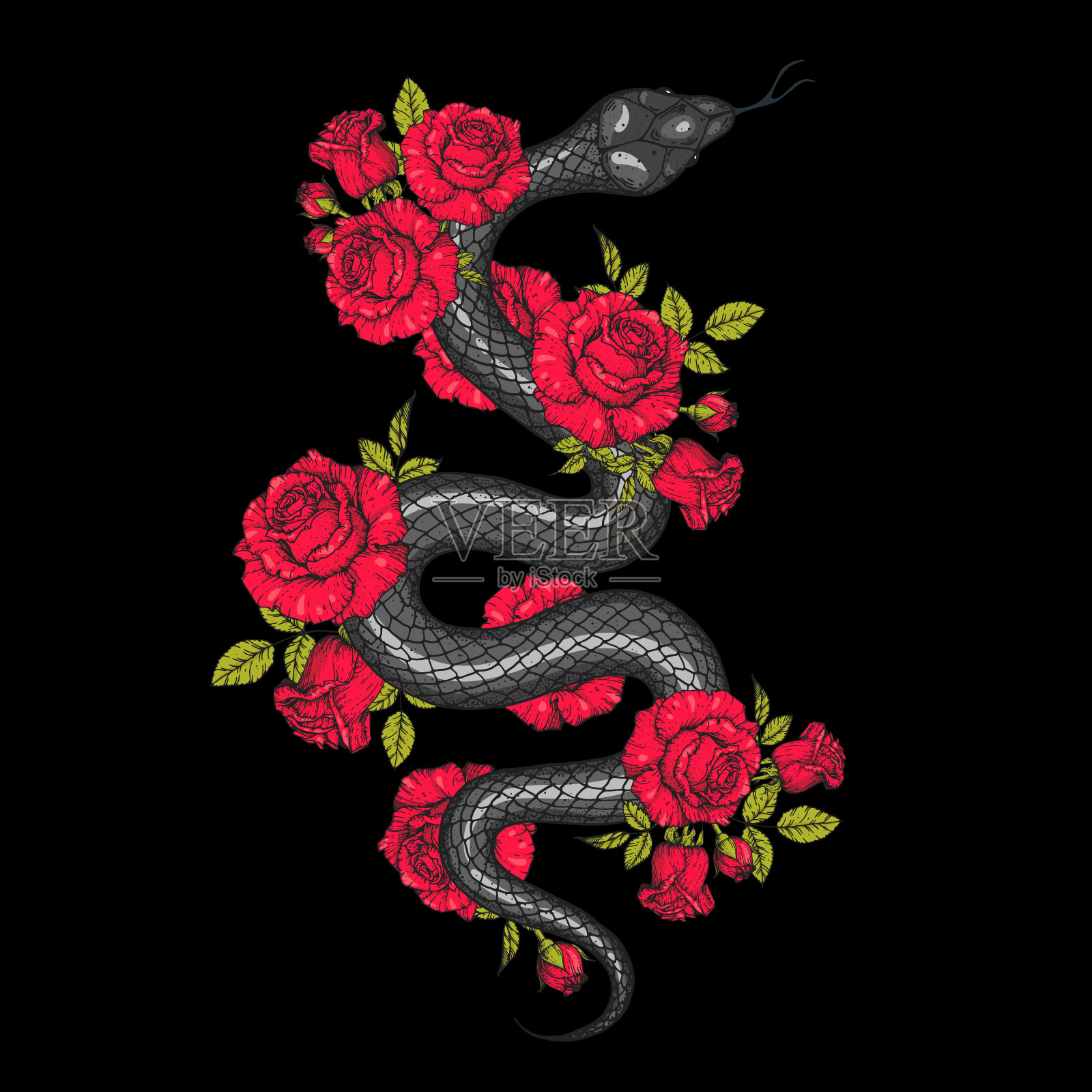 蛇和玫瑰插图。矢量插图。手绘插图用于t恤印花，织物和其他用途插画图片素材