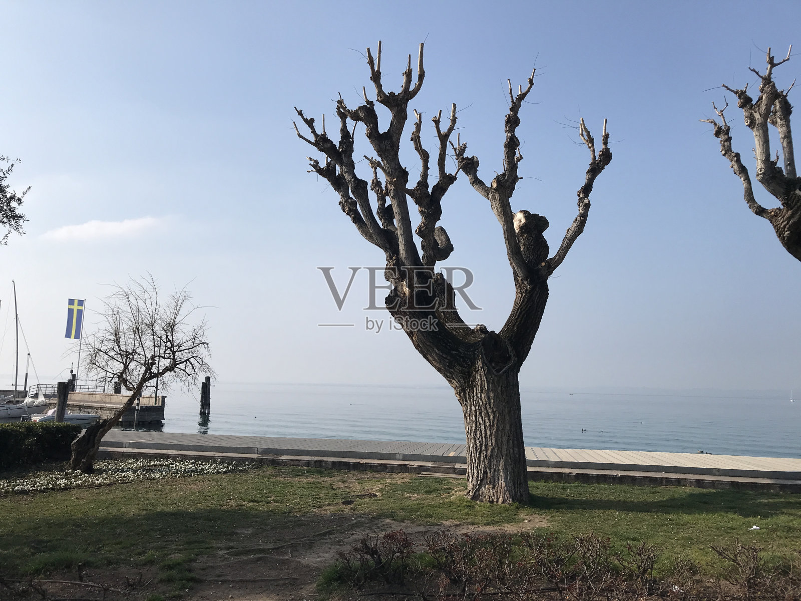 加尔达湖，绿树成荫照片摄影图片