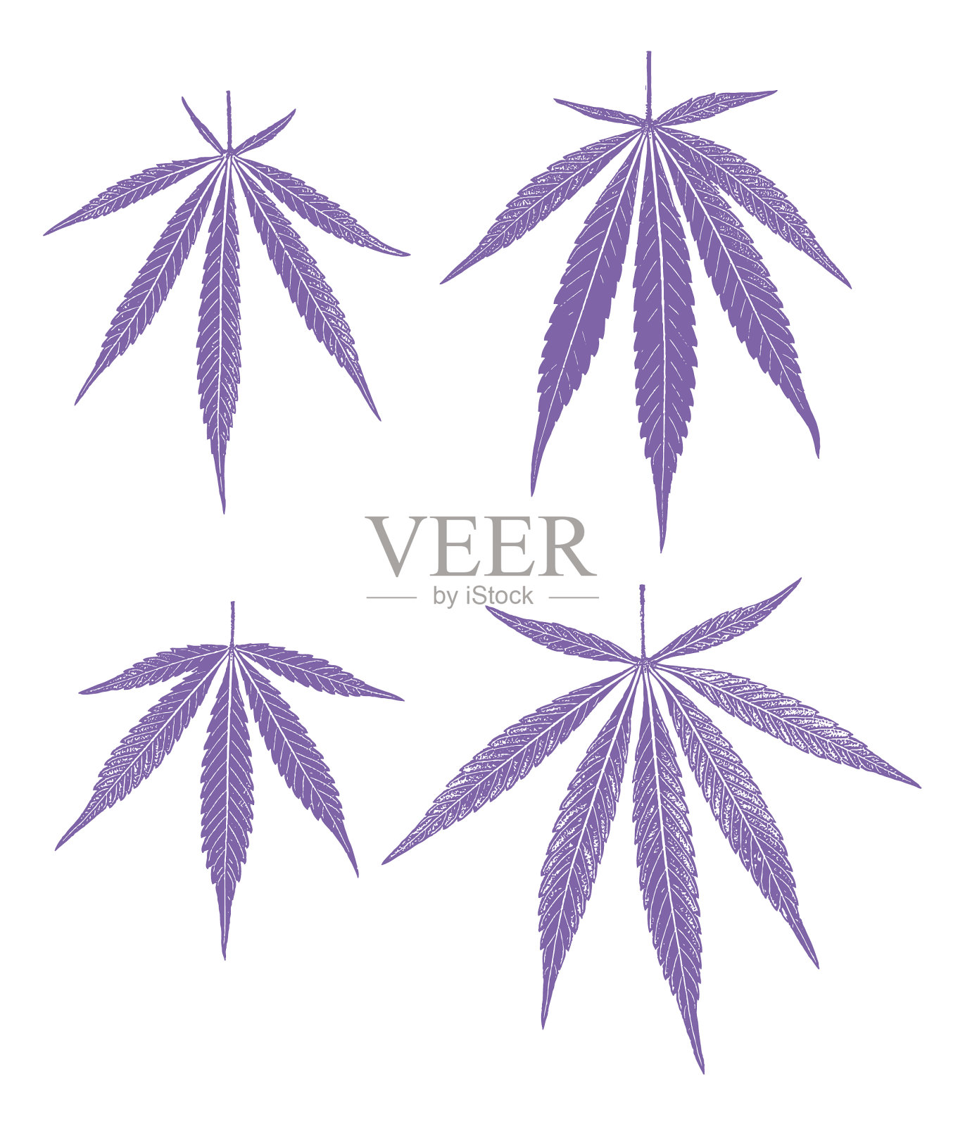 四组大麻叶子插画图片素材