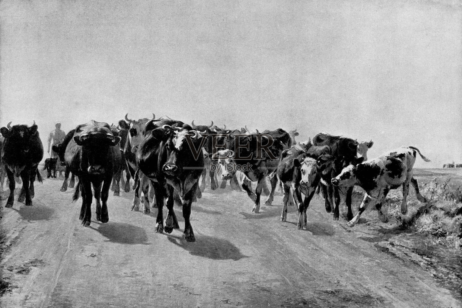 - 19世纪插画图片素材