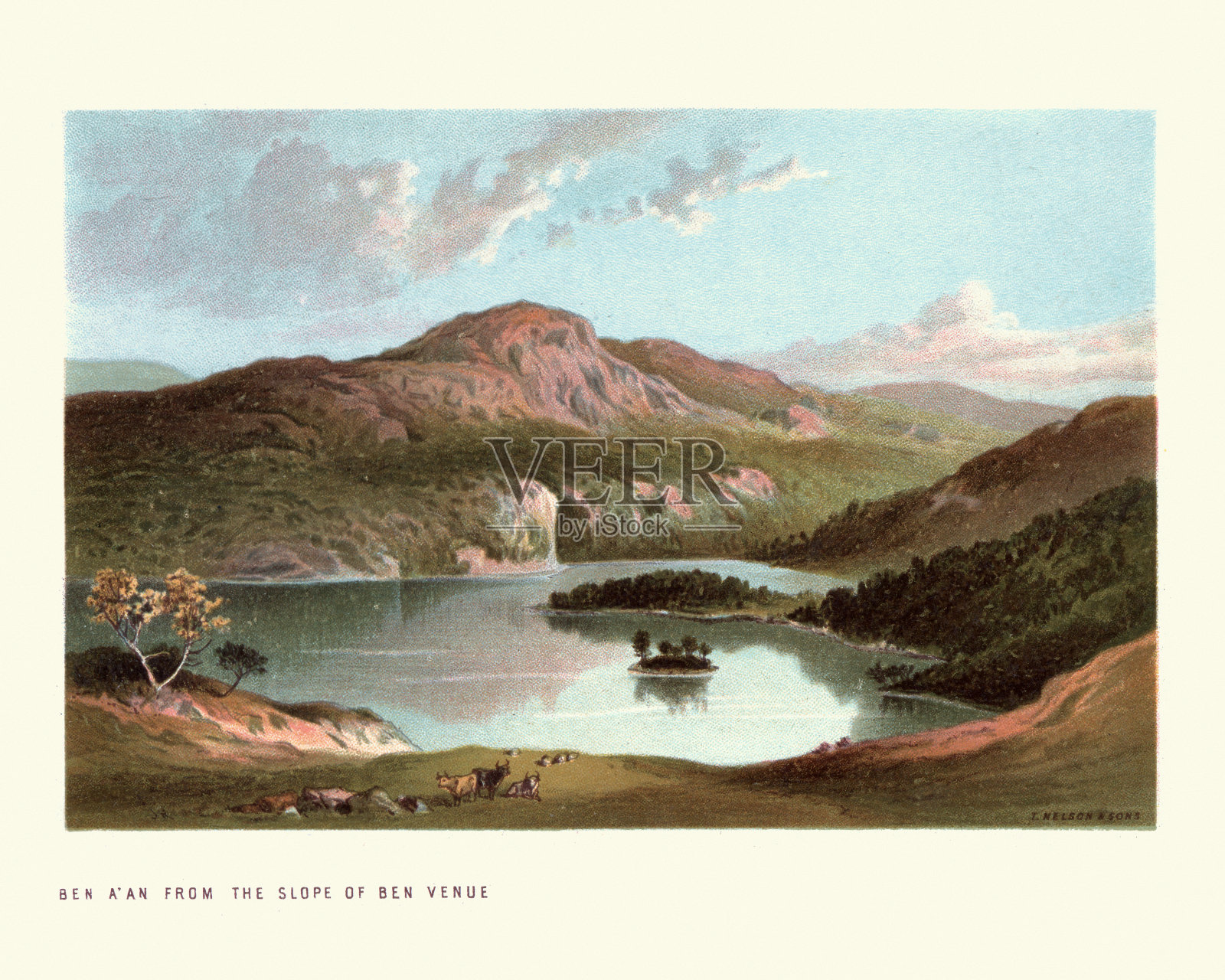 本·阿安，来自苏格兰本地坡，19世纪插画图片素材