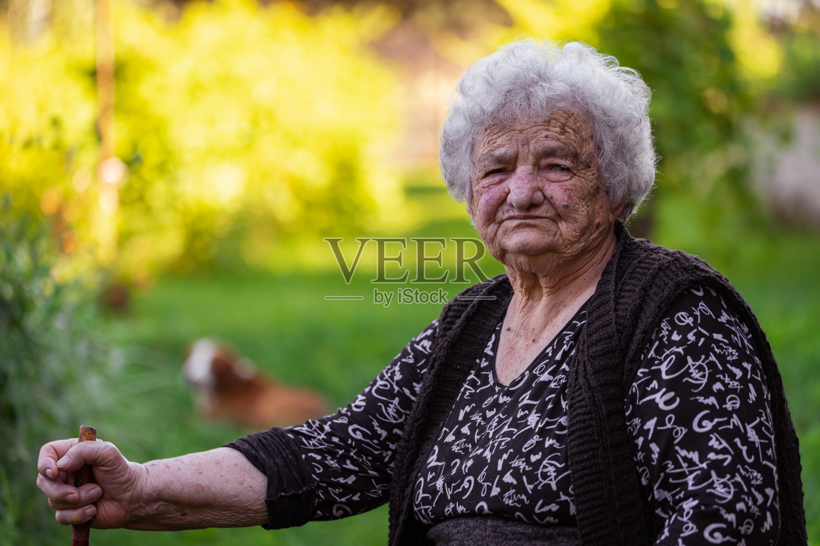 后院一位老妇人的画像照片摄影图片