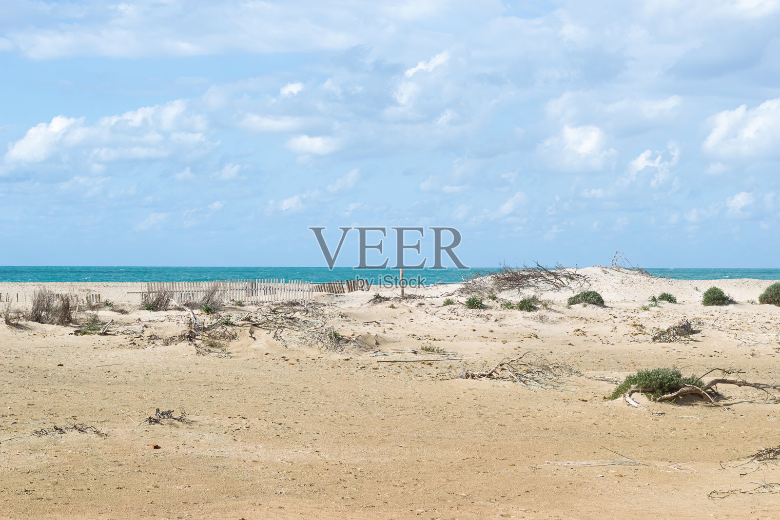 以海洋为背景的大西洋海岸坎波索托海滩的沙丘再生;圣费尔南多;加的斯;安达卢西亚;西班牙。照片摄影图片