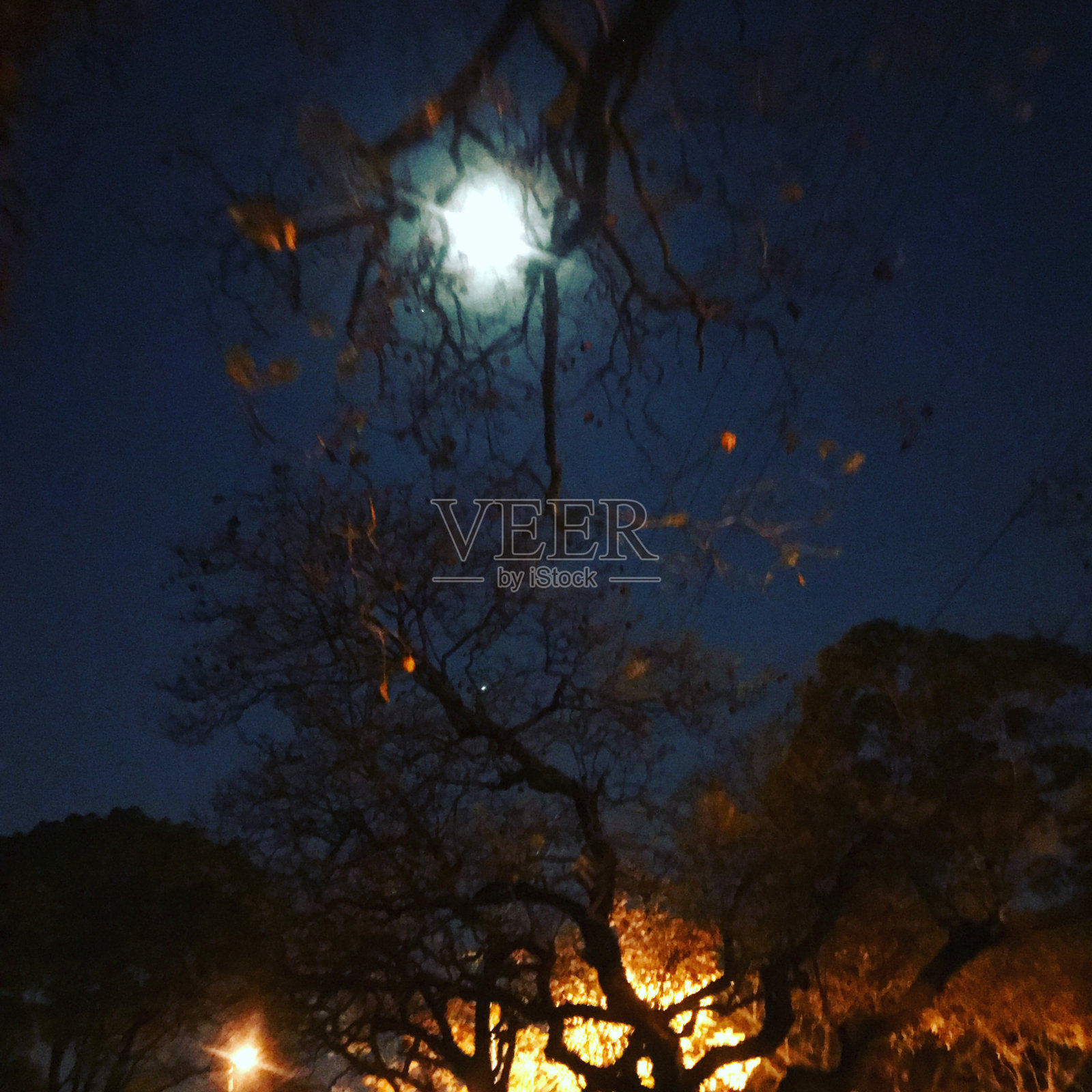 满月照片摄影图片