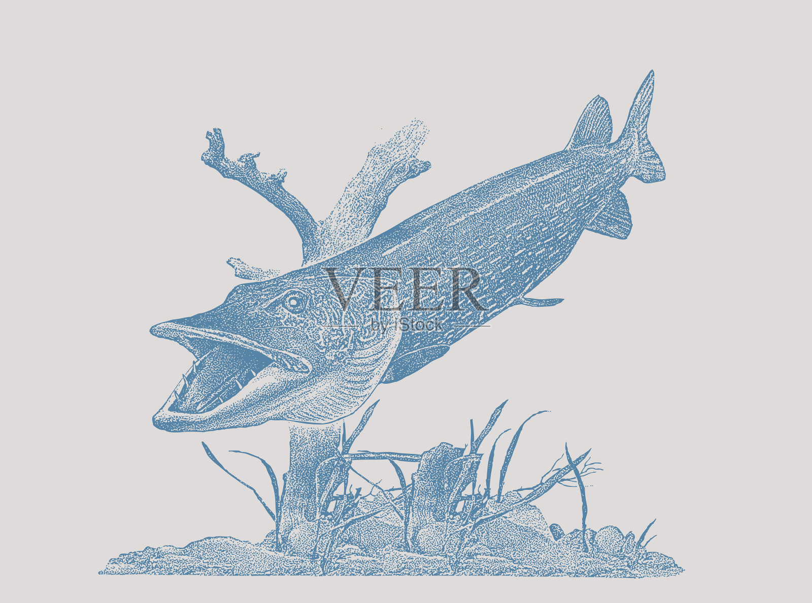 一个大型北梭子鱼的点画矢量插画图片素材