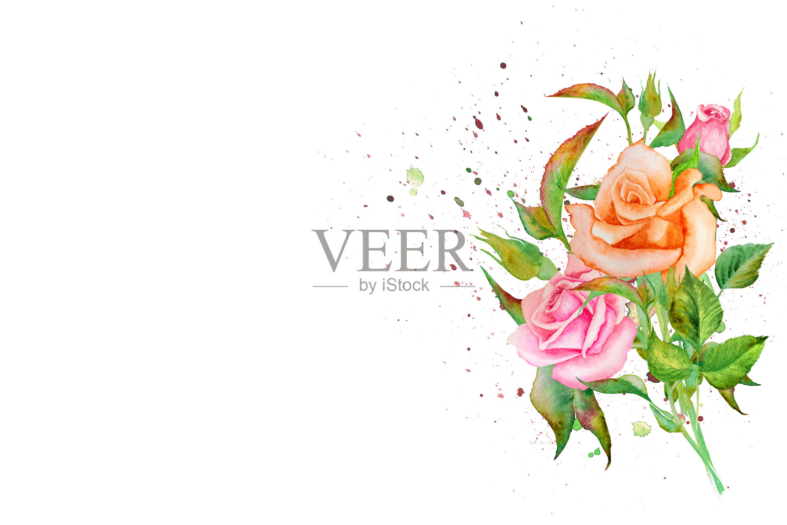 水彩插图组成的玫瑰和百合，手绘。用于明信片、邀请函、广告插画图片素材