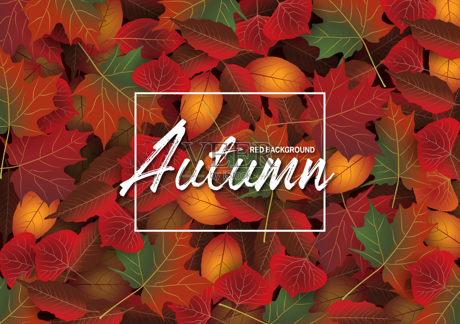 秋叶红色背景插画图片素材