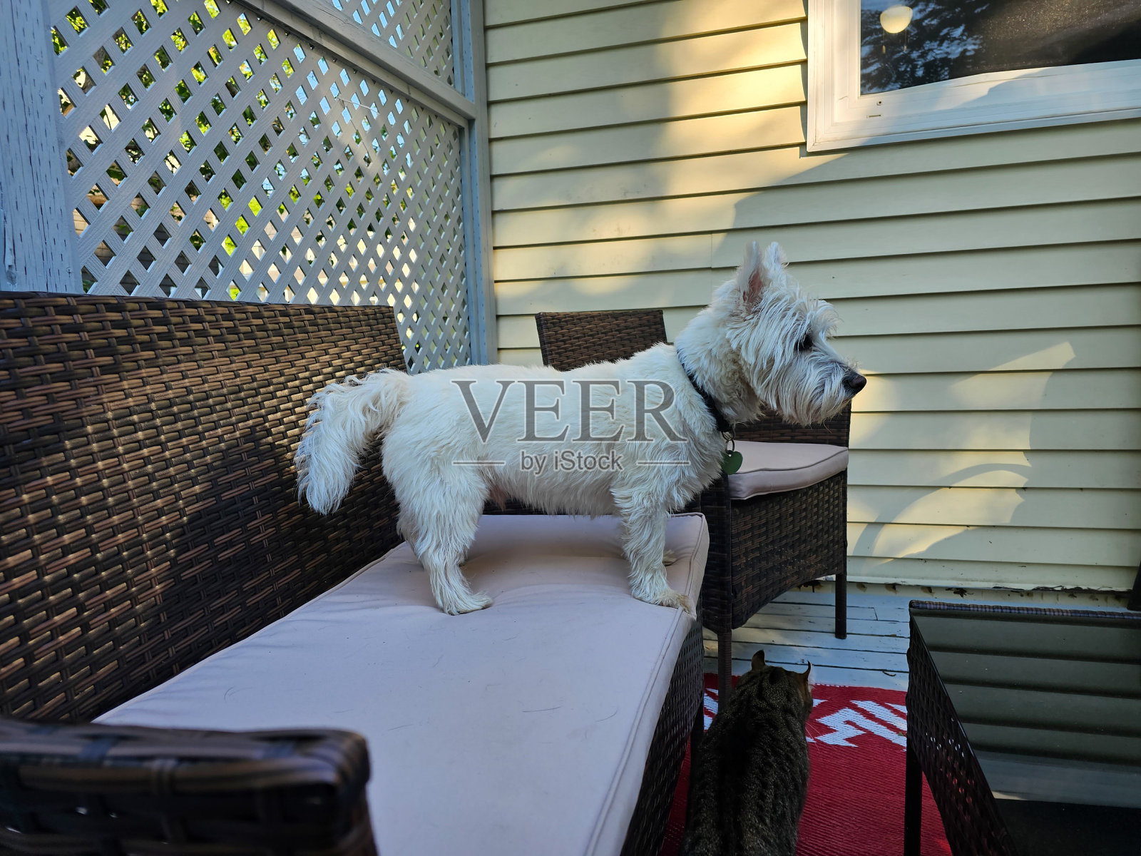 西部守卫照片摄影图片