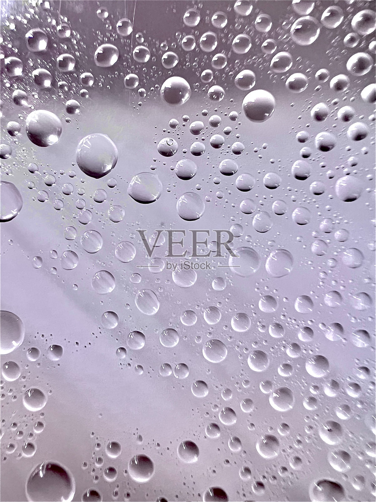 水珠的背景呈淡绿紫色。照片摄影图片