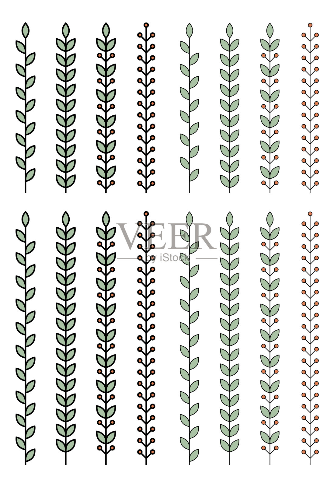 轮廓花矢量集隔离在白色插画图片素材