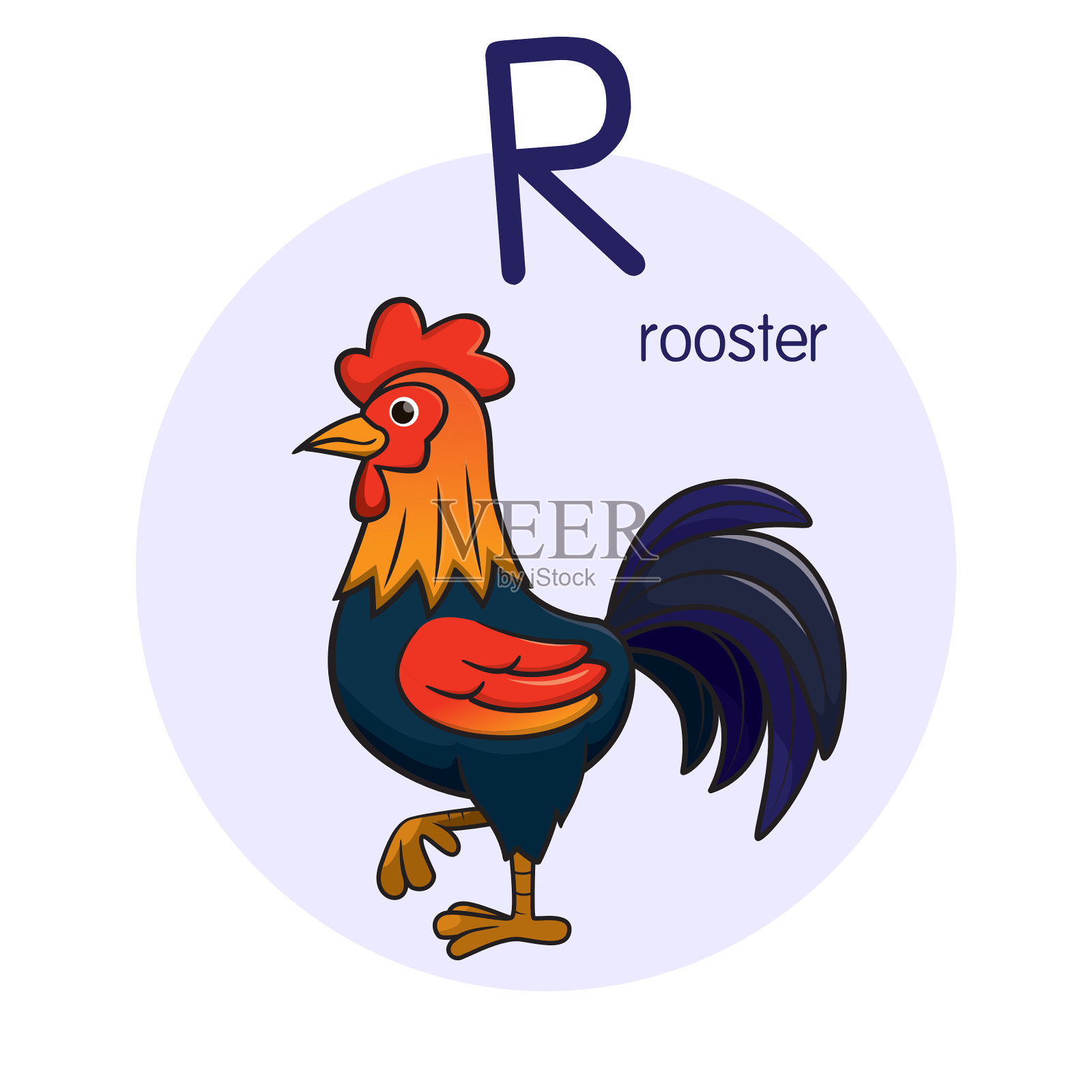 向量公鸡插图与字母R大写字母或大写字母的儿童学习练习ABC设计元素图片