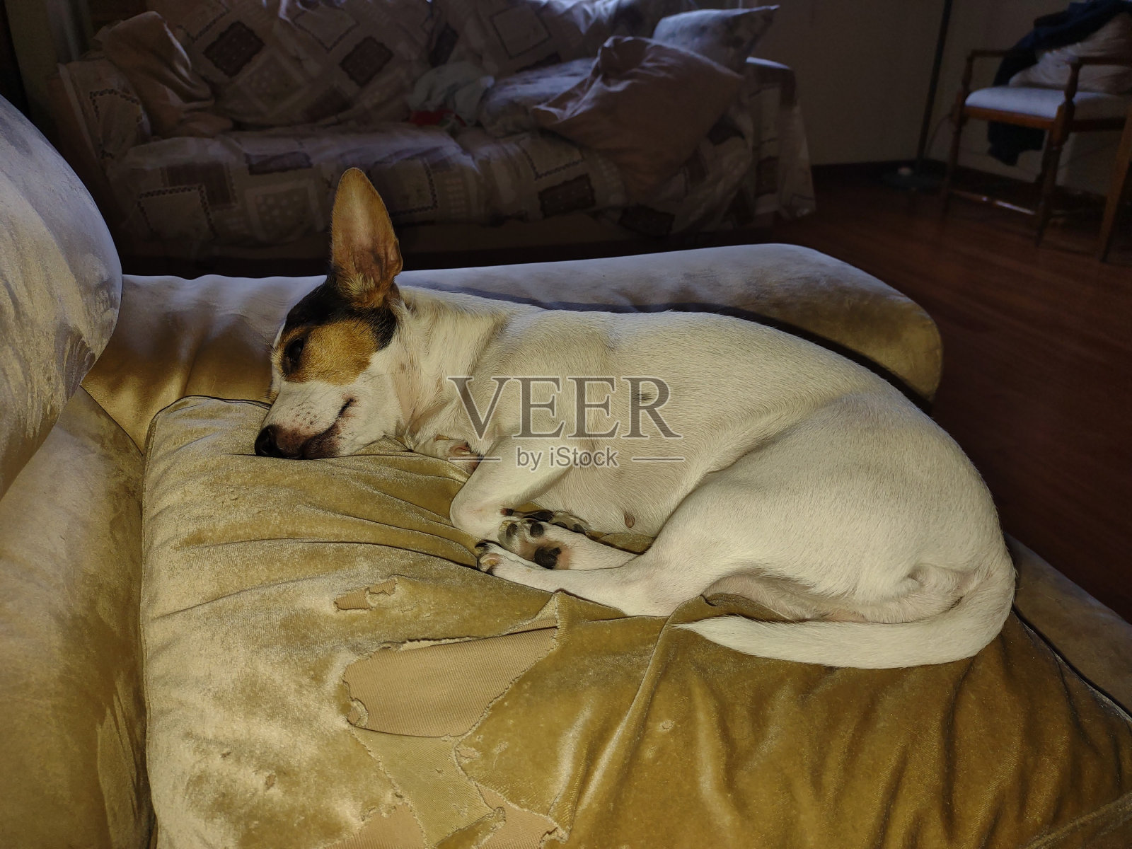 睡特鲁照片摄影图片