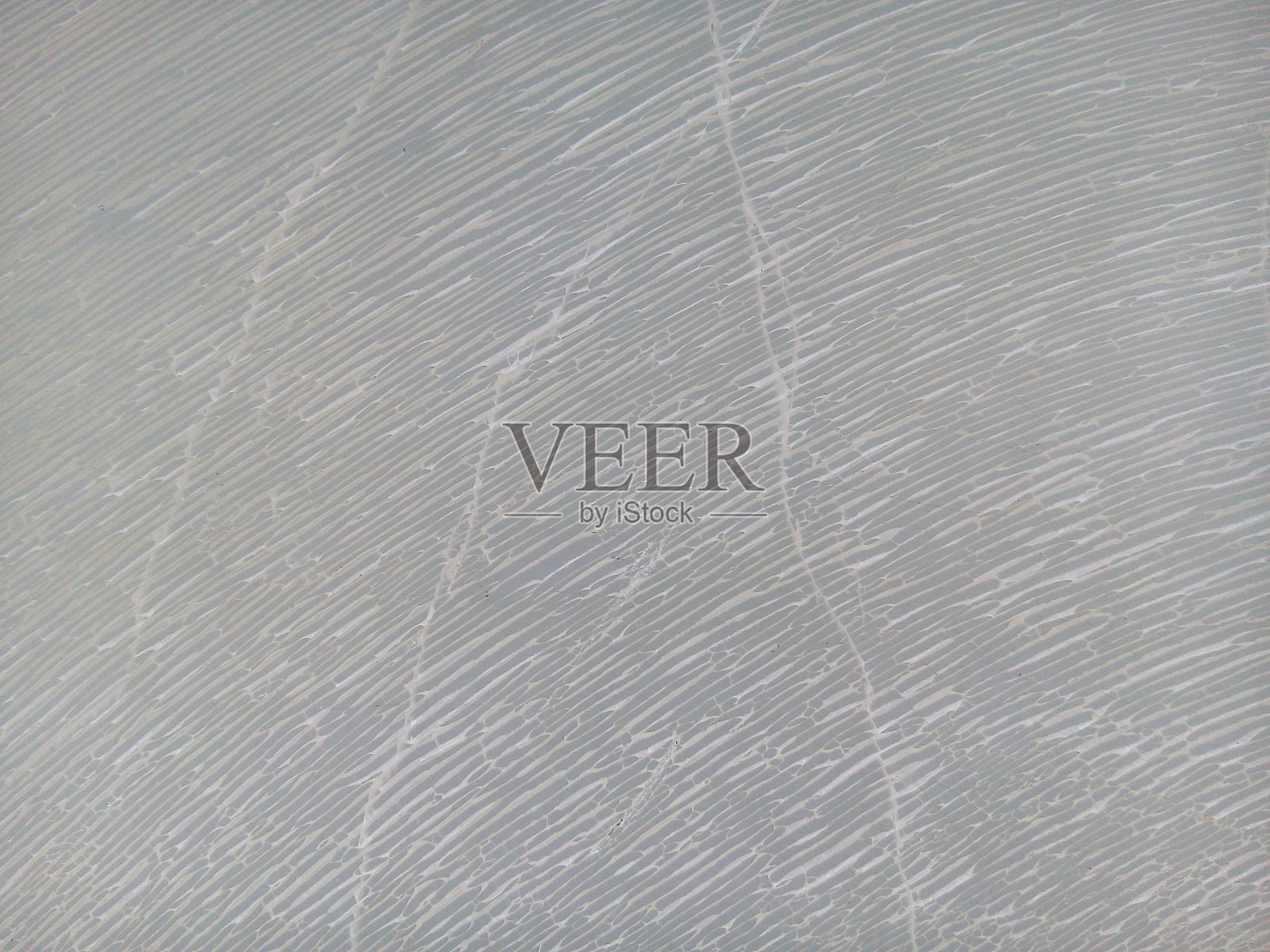 旧白色塑料裂纹纹理背景。照片摄影图片