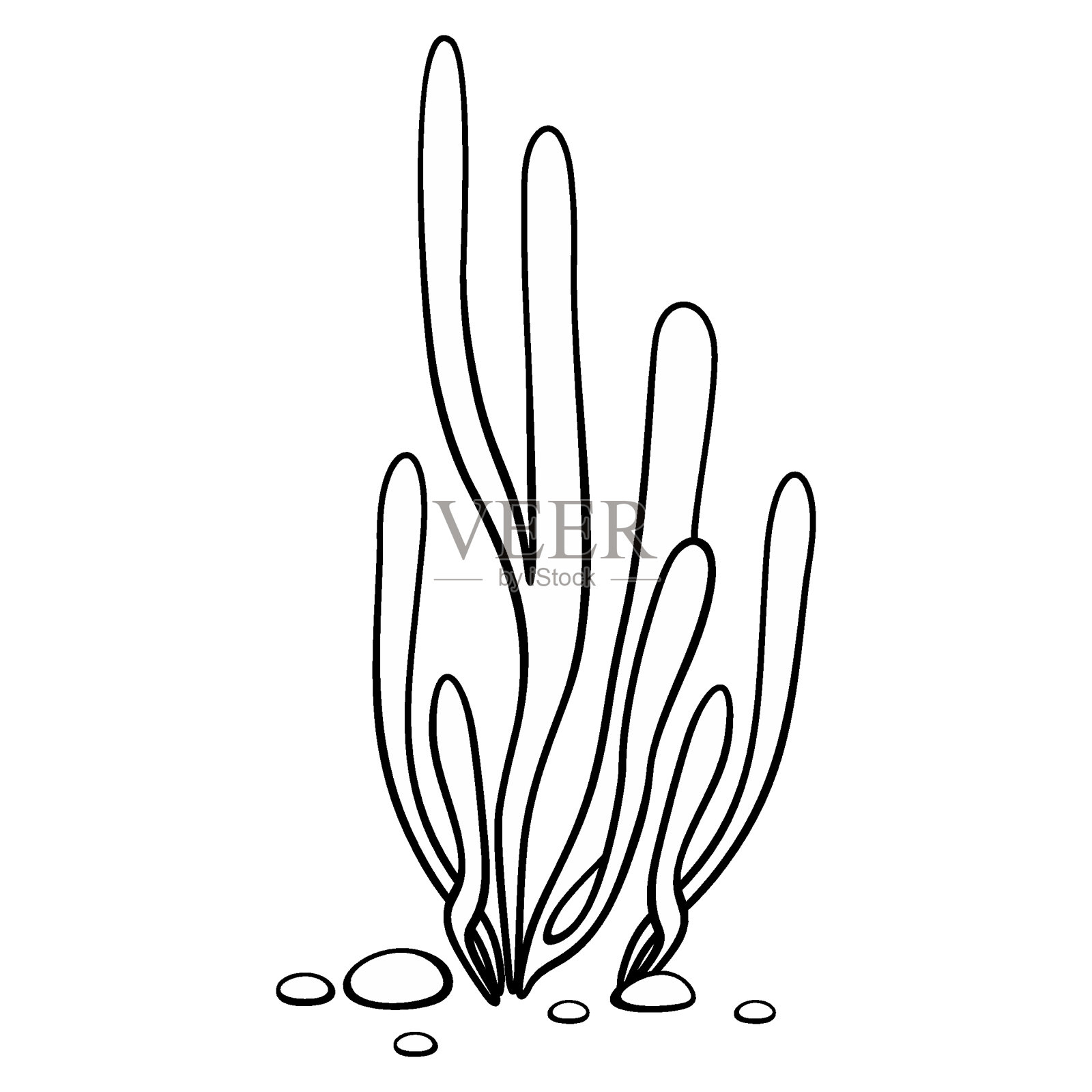 黑色和白色的轮廓孤立的海洋海藻插画图片素材