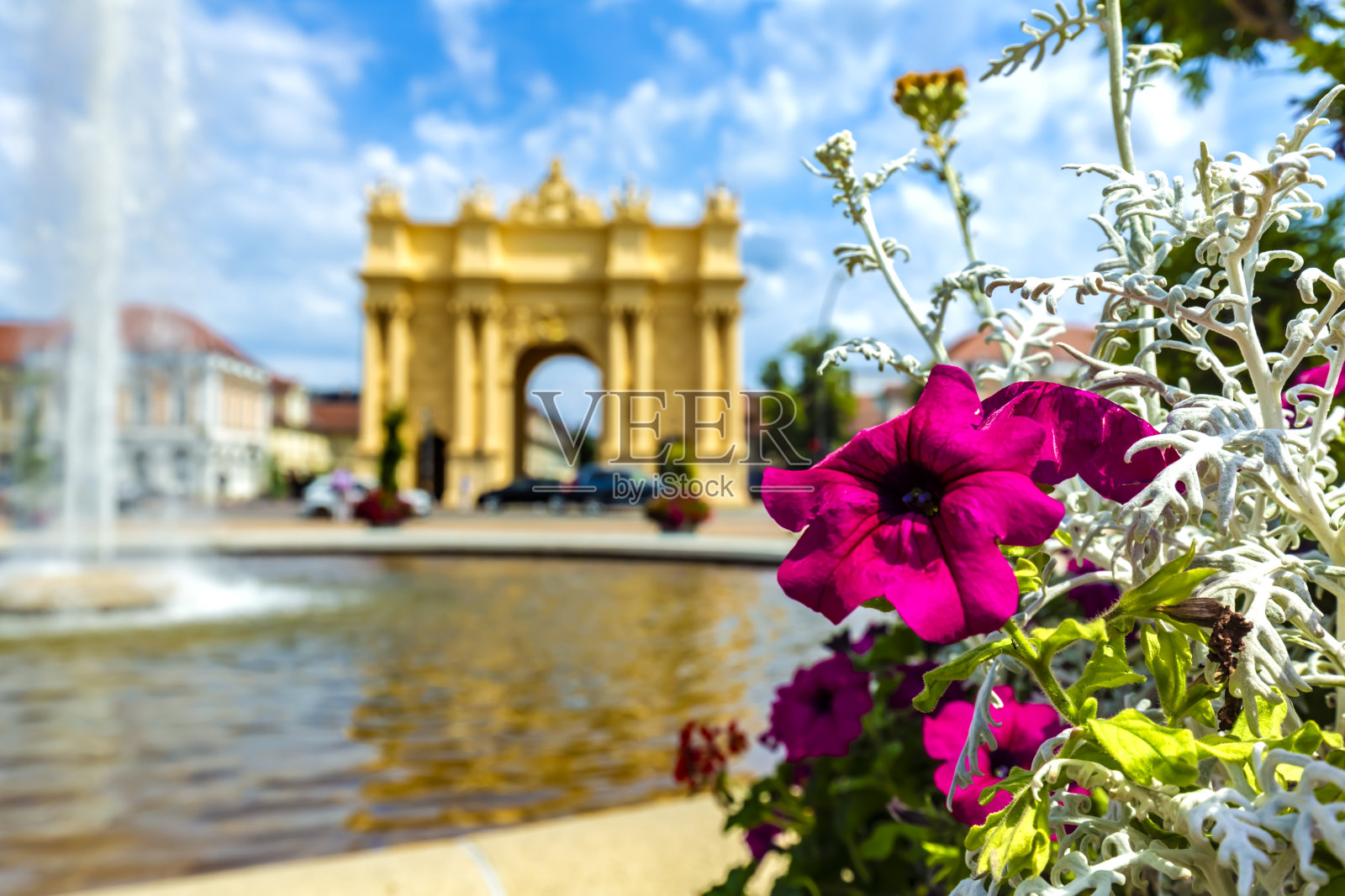 在波茨坦的勃兰登堡门插上鲜花，重点是鲜花照片摄影图片