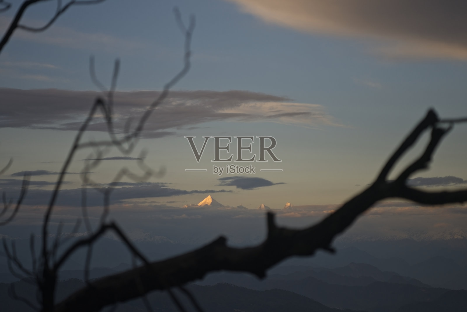 One single snow peaks lit up in sunlight of the Indian Himalayas in dramatic dusk time with a tree branch in foreground.照片摄影图片