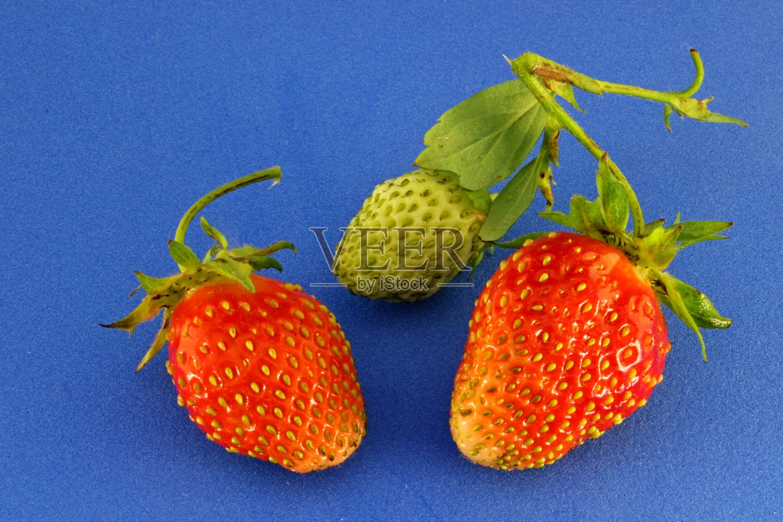 蓝色背景上有叶子的草莓照片摄影图片