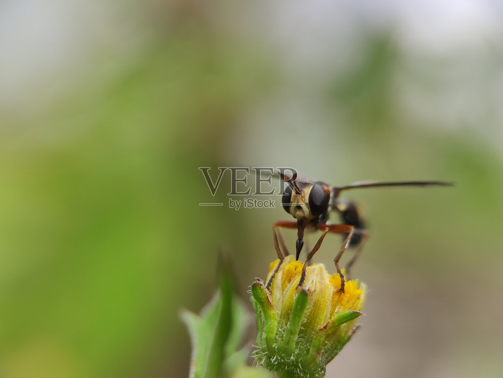 错误的生活照片摄影图片