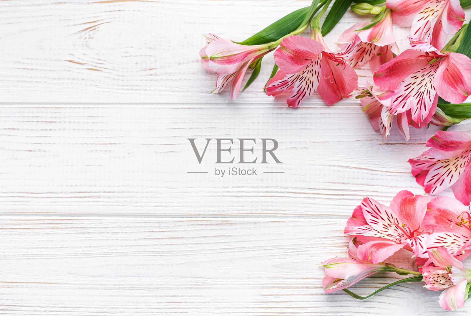 美丽的木本花照片摄影图片