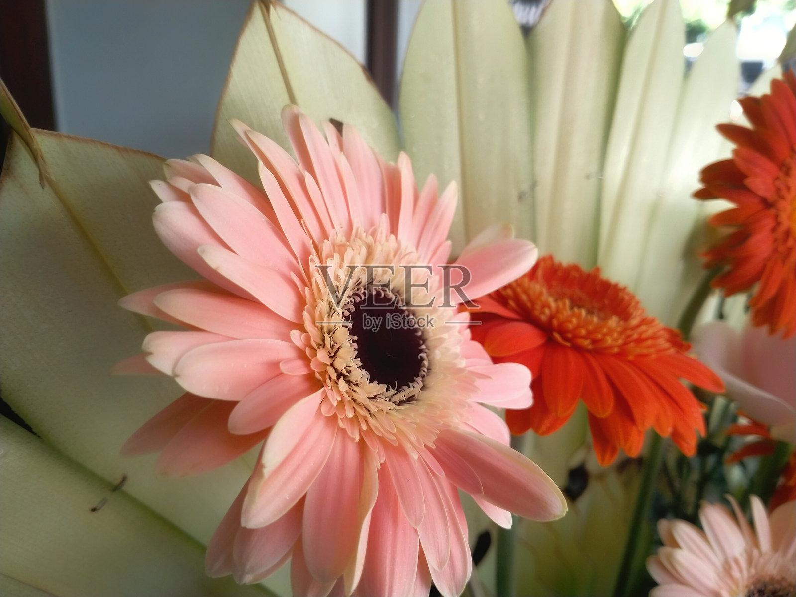 有吸引力的纸或人造花束照片摄影图片