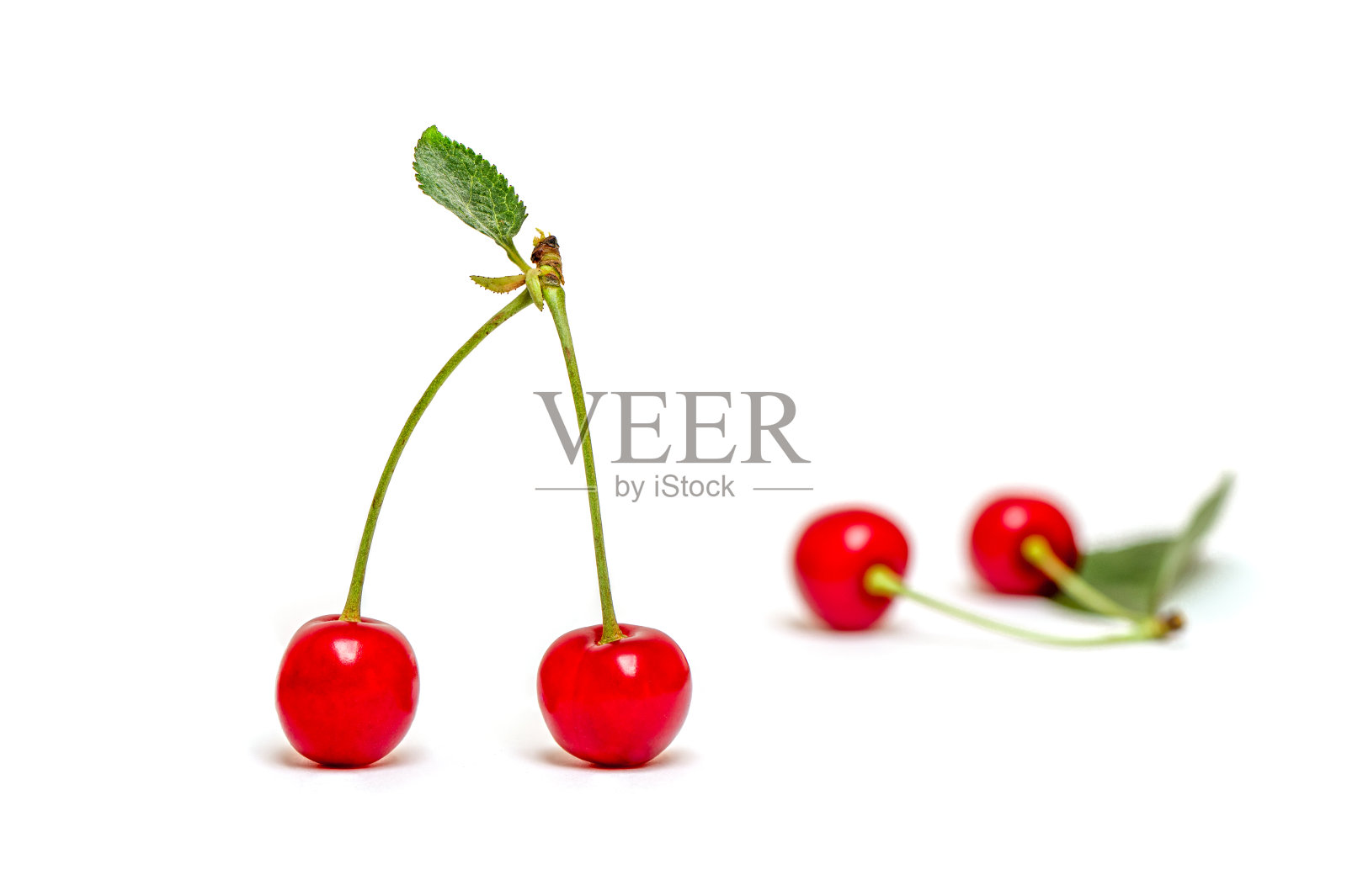 一对漂亮的，新鲜的，多汁的，脆脆的，美味的樱桃，酸樱桃直接从树上摘下来。孤立在白色背景上。照片摄影图片