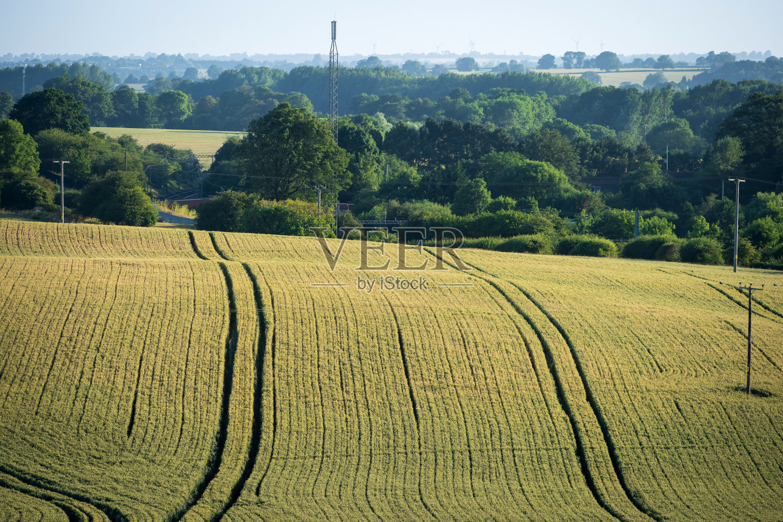 英国的农业农田照片摄影图片