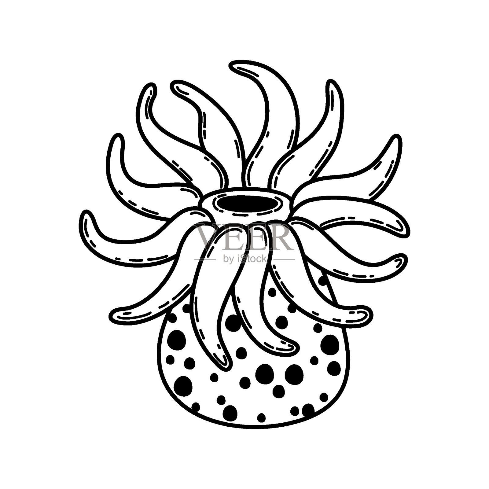 分离矢量图海葵-3插画图片素材