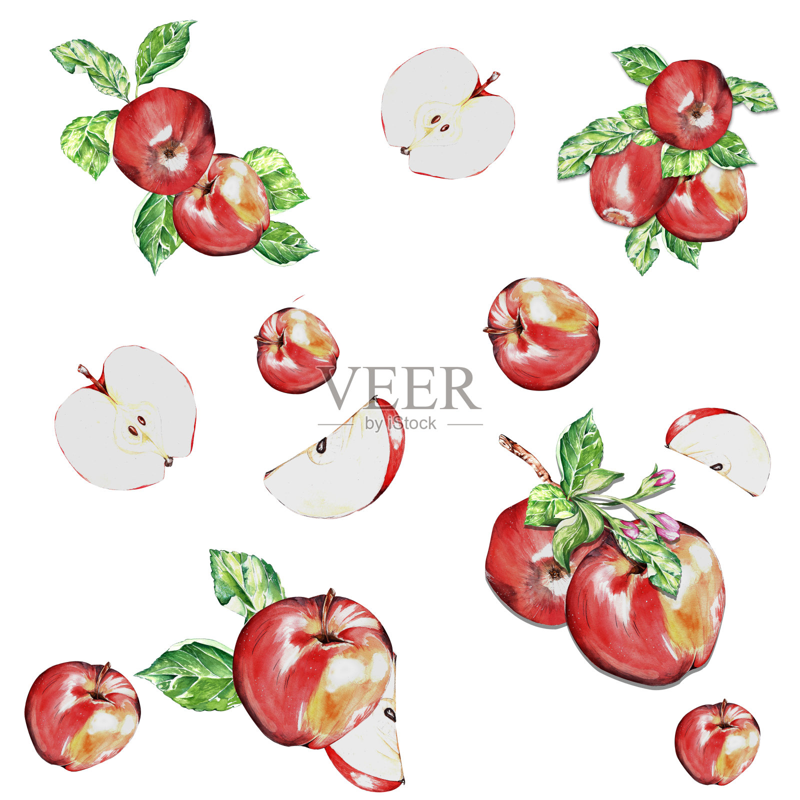 水彩。熟透的红色多汁苹果用于明信片、包装的设计插画图片素材