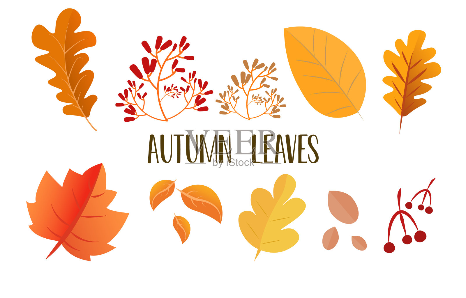 秋叶集，孤立在白色的背景。树叶与褪色纹理，矢量插图。适用于社交媒体，促销材料，广告，电子邮件营销。插画图片素材