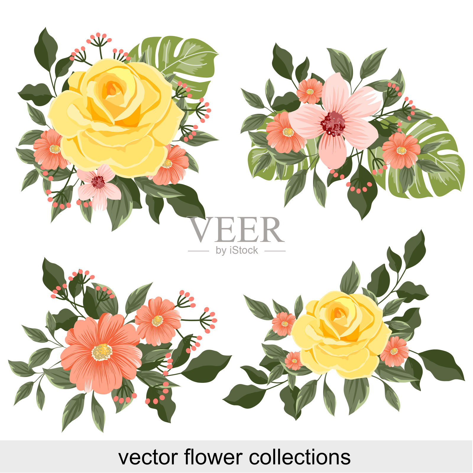 玫瑰和花朵收集向量插画图片素材